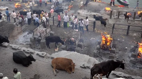 Cremation at Manikarnika Ghat Stock Footage 103457090