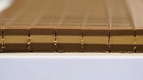 Cremini seen from the side Stock Footage 98862649