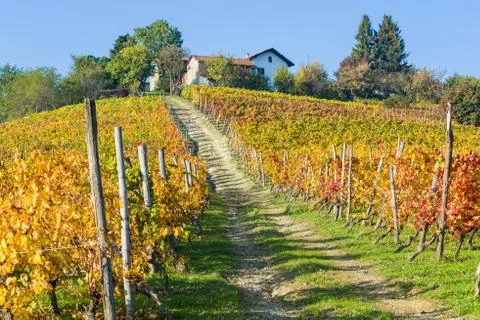CREMOLINO 72 Stock Photos