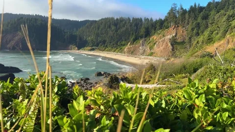 Crescent Beach Below Forested Cliffs at Ecola State Park Oregon Stock Footage 341992977