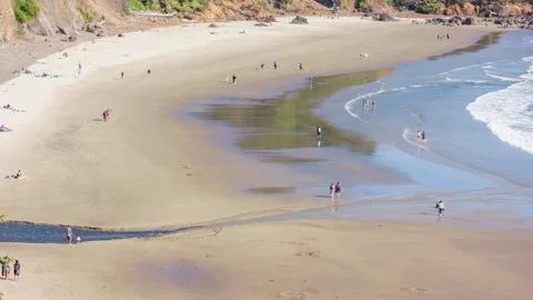 Crescent Beach in Ecola State Park, Oregon with green forest, rocky cliffs, and Stock Footage 309295255