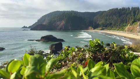 Crescent Beach Framed by Coastal Plants at Ecola State Park Oregon Stock Footage 341992895