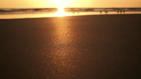 Crescent Beach near St. Augustine, Amelia Island, Florida at Sunrise Stock Footage 195102010