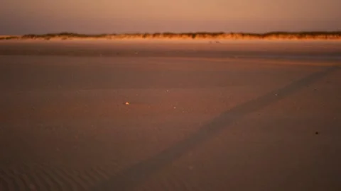 Crescent Beach near St. Augustine, Amelia Island, Florida at Sunrise Stock Footage 195102011