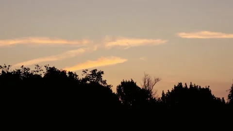 Crescent Beach near St. Augustine, Amelia Island, Florida at Sunrise Stock Footage 195102036