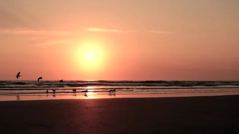 Crescent Beach near St. Augustine, Amelia Island, Florida at Sunrise Stock Footage 195102037