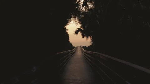 Crescent Beach near St. Augustine, Amelia Island, Florida at Sunrise Stock Footage 195102165