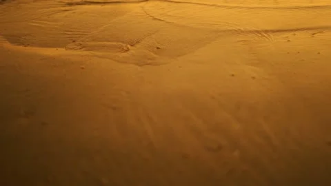 Crescent Beach near St. Augustine, Amelia Island, Florida at Sunrise Stock Footage 195102167