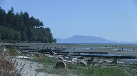 Crescent Beach, White Rock, Surrey, Vancouver area, Canada Stock Footage