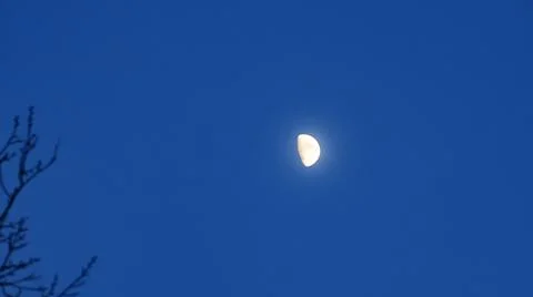 Crescent in the blue evening cloudless sky. Moon in the sky. Design concept.  Fotos Stock