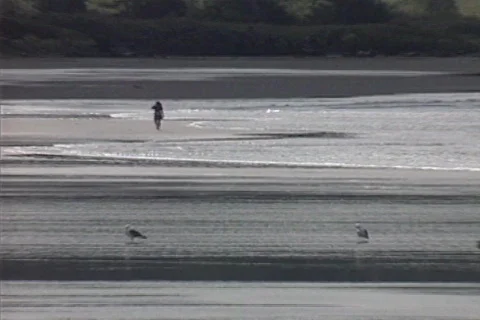 Crescent City beach 01 Stock Footage 645562