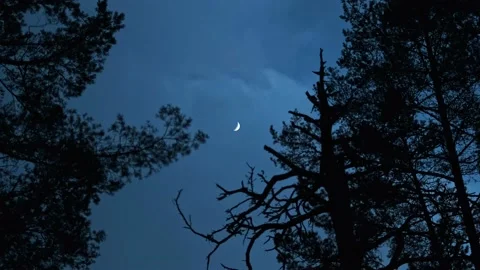 Crescent of the dark woods Видео 233929155