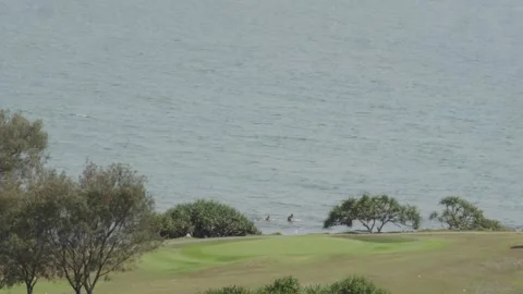 Crescent Head Australia Stock Footage 323492127