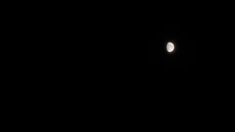 Crescent moon in the black sky at night with bushes in the foreground Stockbeeldmateriaal 104453586