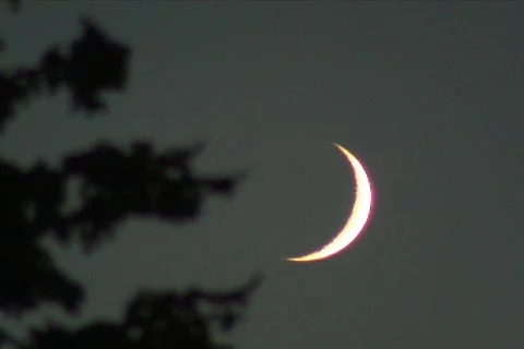 Crescent Moon - close with tree shadow Stock Footage 266553