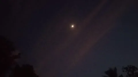 Crescent Moon in the Dark Night Sky with Tree Silhouettes Stock Footage 314970500