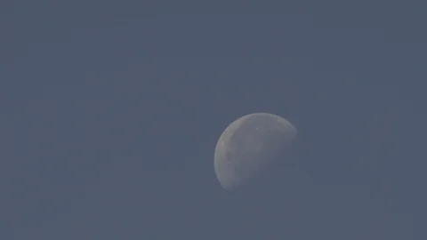 Crescent moon, of day, in sky blue with flying bird Stock Footage 101184520