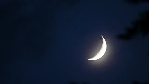 Crescent Moon 스톡 동영상 169263273