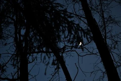 Crescent moon on the night sky. Stock Photos