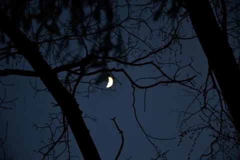 Crescent moon on the night sky. Stock Photos