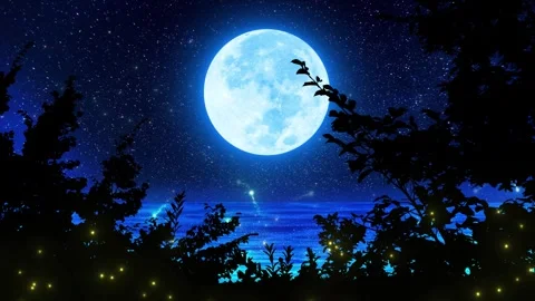 Crescent Moon over sea through parallax forest Stock Footage 306115416