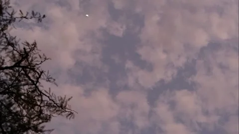 Crescent Moon Partially Obscured by Soft, Pastel Clouds and Silhouetted Bra.. Stock Footage 295749310