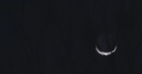 Crescent Moon Rack Focus Through Tree Branches 库存影片 342833975
