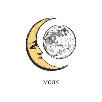 Crescent vector illustration. Moon Stock Illustration