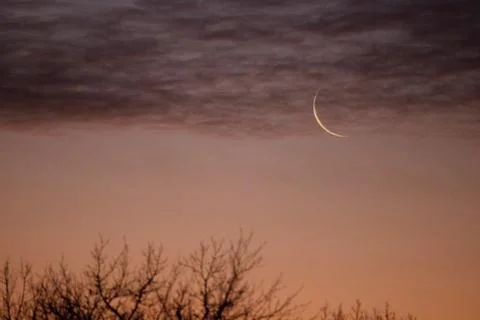 CrescentMoon Stock Photos
