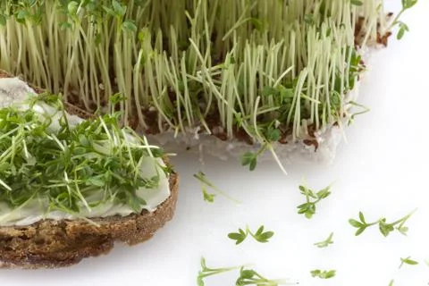 Cress and bread Stock Photos