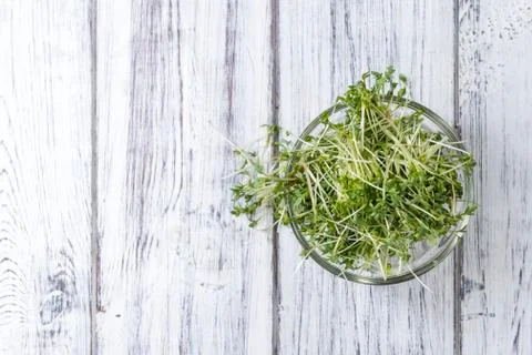 Cress Stock Photos