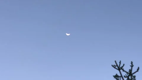 Cressent moon Stock Footage 314265091