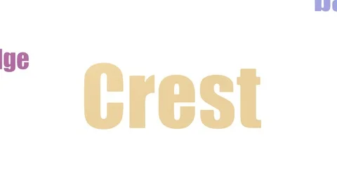 Crest Tag Cloud Animated Isolated On White Stock Footage 107209653