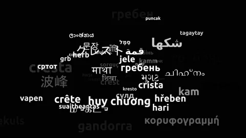 Crest Translated in 62 Worldwide Languages Endless Looping 3d Zooming Wordclo Video stock 145211089