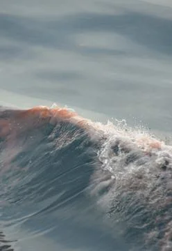 The crest of a wave, tinged red from algae. Stock Photos