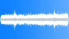 Crested Auklet Distant Calls Sound Effect