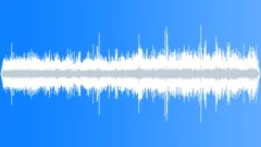 Crested Auklet MC CallsSound Effect