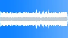 Crested Auklet MCU FlockSound Effect
