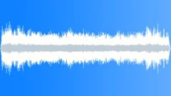 Crested Auklet MCU FlockSound Effect