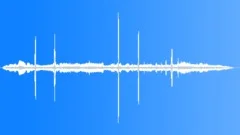 Crested Auklet MCU YelpingSound Effect