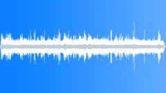 Crested Auklet MD DistantSound Effect