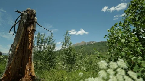 Crested Butte Shot of Ruby Peak Stock Footage 106298020
