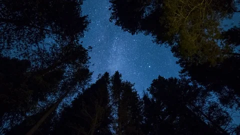Crested Butte Through Trees 4K Timelapse Stock Footage 119538489