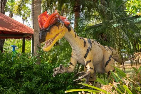 Crested Dilophosaurus Dinosaur Stock Photos