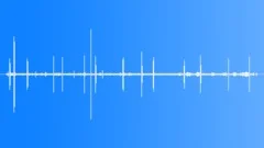 Crested Drongo MCU Calls Sound Effect