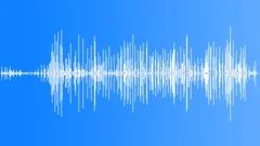 Crested Duck CU CallingSound Effect