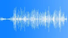 Crested Duck CU CallingSound Effect