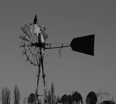 Crested eagle on wind pump Stock Photos