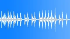 Crested francolins calling 02 Sound Effect