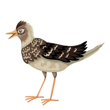 The crested lark stands, having opened beak, looks at the viewer. Brown Illustrazione stock